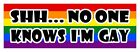 Shhh shhh no one knows I'm gay LGBT Gay Lesbian diversity decal sticker 3 x 9 