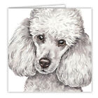 Miniature Poodle greetings card dog blank card dogs Poodles WAGGYDOGZ art card