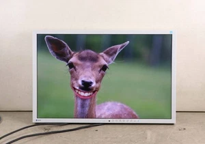 EIZO EV2436W 24.1 Inch WUXGA IPS LED Monitor with DP Port and Speakers - Picture 1 of 8