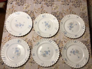 Haviland Limoges BERGERE (6) Dinner Plates 10 1/4” Blue Floral Excellent! BxOO-4 - Picture 1 of 17