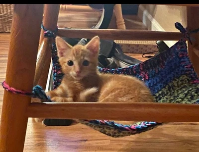 ✨Handmade Pet Hammocks – Cozy, Washable & Durable✨ - Image 1 of 4