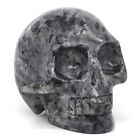 3" Human Skull Natural Gems Larvikite Labradorite Carved Figurine Crafts #wq5