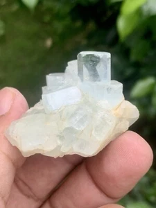 238 Carats Collection Aquamarine With Mica Cluster Specimen. - Picture 1 of 13