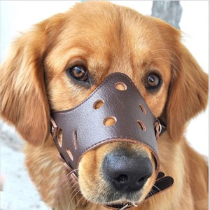 can a muzzle stop barking