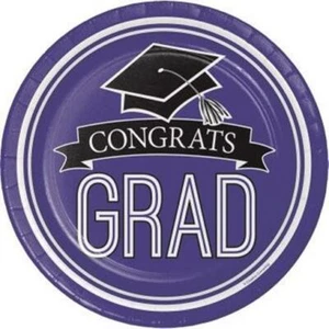 School Spirit 9 Inch Paper Plates Purple 18 Pack Grad Party Tableware Supplies - Picture 1 of 1
