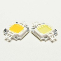 SMD Led Chip Flood Light Beads 10W LED High Power Cool/Warm White 30Mil 10PCS