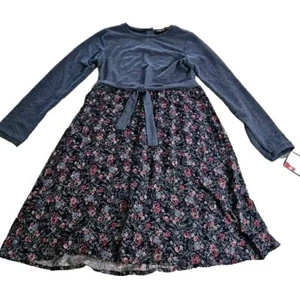New "Three Pink Hearts" Dress Girls Large Blue Floral Dress NWT - Picture 1 of 10