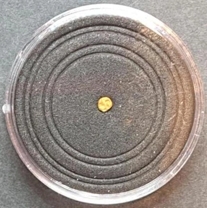 Rara India Gold Bele (1336-1646 CE) - Moneta d'oro più piccola del mondo - SPEDIZIONE GRATUITA - Foto 1 di 3