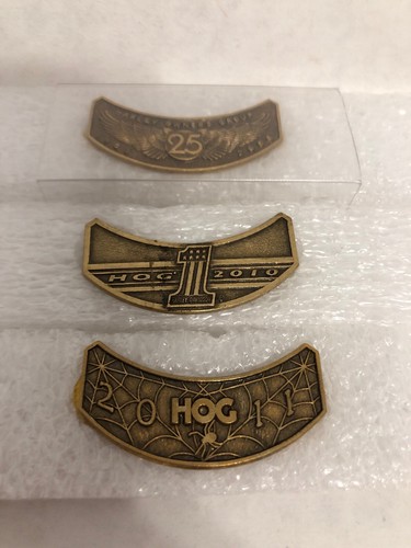 2010 HARLEY OWNERS GROUP HOG H.O.G. CHAPTER MEMBER ROCKER PIN Plus 2 ...