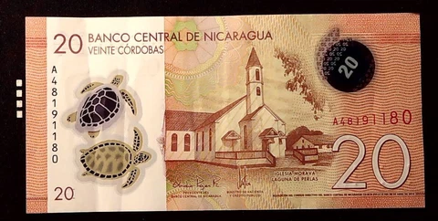 NICARAGUA 20 CORDOBAS 2019 POLYMER TURTLES BANKNOTE  INV#B10446 Cover