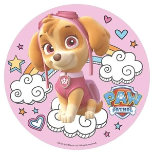 Skye Paw Patrol Tortenaufleger 20cm Ø Oblatenpapier Geburtstag 🐶 - Bild 1 von 3