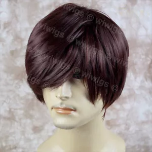 Wiwigs Classic Handsome Bangs Layered Dark Auburn Men's Full Wig - Picture 1 of 4