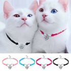 Kitten Chihuahua Cute Puppy Collar Cat Puppy Necklace Necklace Pet Products