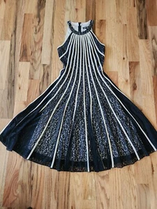 Promulias Paris Medium Elegant Fit & Flare Slim Lace Formal Striped Cocktail - Picture 1 of 12