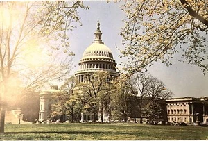 Postal de colección 1959 del edificio del Capitolio de los Estados Unidos, Washington D.C. - Imagen 1 de 2