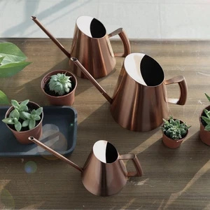 Long Spout Watering Can Crafted from Stainless Steel for Gardening Enthusiasts - Photo 1/57