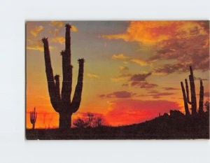 Postkarte Wüstenuntergang - Bild 1 von 2