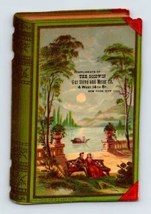 Medidor de estufa de gas Goodwin años 1890 tarjeta comercial victoriana de la ciudad de Nueva York 3" x 5,5" - Imagen 1 de 2