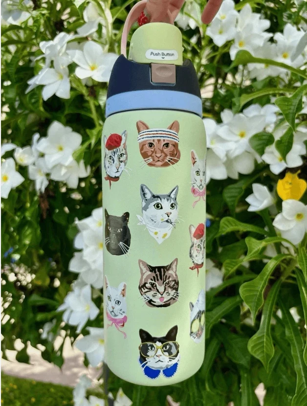 Owala Stainless Bottle 32 oz Urban Outfitters Exclusive Cat Collage New INHAND