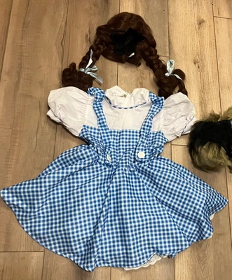 Vestido Disfraz Dorothy Niñas, Peluca y Toto Foto 1 de 4
