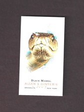 2007 ALLEN & GINTER /WORLD'S DEADLIEST SNAKES / BLACK MAMBA MINI /#S3/ SSP
