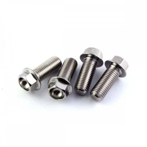 Aprilia V4 Tuono 11-13 Titanium Radiator Mounting Bolt Kit - Picture 1 of 1