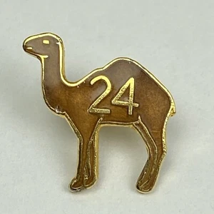Camel 24 Fellowship Inc The Camel Club Addiction Recovery Symbol of Sobriety Pin - Picture 1 of 3