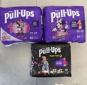 3 PACK Huggies Girls Potty Training Pants (2 Pk: 2T-3T, 1 Pk: 3T-4T) - Picture 1 of 1