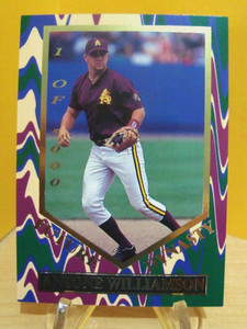 1995 Signature Rookies Future Dynasty ANTONE WILLIAMSON #FD5