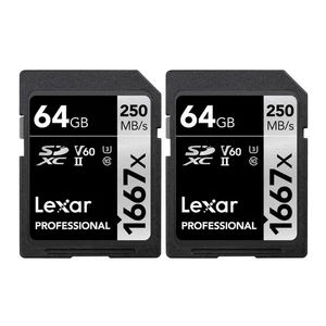 Carte mémoire SDXC Lexar Professional 64 Go 1667 x UHS-II (Pack de 2) - Photo 1 sur 4