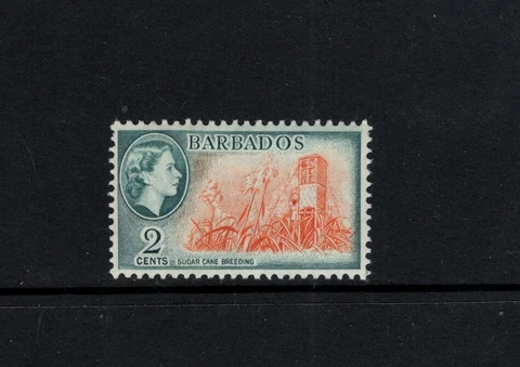Barbados 1953 2c Sugar Cane Breeding Agriculture MNH SG 290 Sc 236 Cover