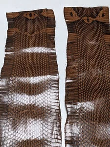 Asia Cobra Snake Skin w/ Hood Mark Snakeskin Hide Leather Brown - Picture 1 of 9
