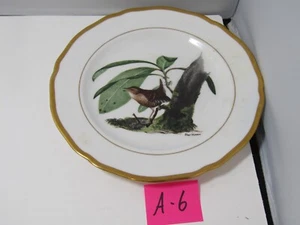 A6 OLD AMERICAN SONGBIRD WINTER WREN BONE CHINA PLATE RAY HARM - Picture 1 of 2