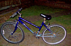 Ladies Raleigh  Cassis  Mountain Bike Pick Up Only