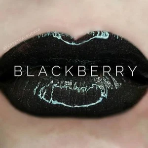 SeneGence LipSense ** Blackberry ** Liquid Lip Color - Picture 1 of 1