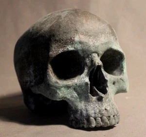 Human Skull Anatomical Medical Death Oddity Theater Doctor Funeral Postmortem - Picture 1 of 7