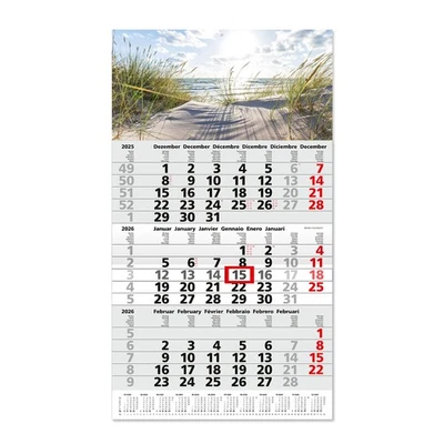 TIMR 3-Monatskalender 2026 Jahresübersicht mehrsprachig D /GB /F /I /E /NL I tr341