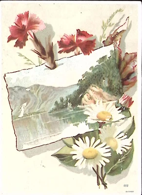 1880s H.D. DEWAR STAR TEA CO. BOSTON MA ROGERS SILVER VICTORIAN TRADE CARD P4456 - Image 1 of 2