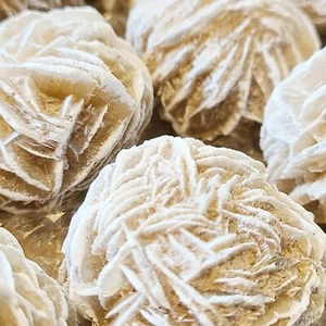 Desert Rose Selenite Rosette - Picture 1 of 1
