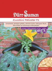 Zucchini Patiostar F1 Samen von Dürr Samen ca 4 Samen Zucchinisamen Gartensamen - Bild 1 von 1