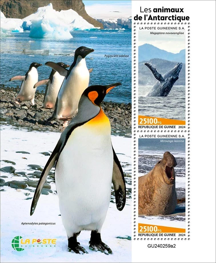 Марки Антарктики животные киты тюлень король Адели пингвин как новые без наклеек и следов 2024 Гвинея M/S - Изображение 1 из 1