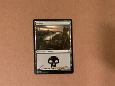 MTG Magic Swamp #263 Shadow Signed Artist Proof x1 AKH Amonkhet Titus Lunter