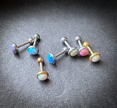 Juego de 1 pieza de barra de anillo de cartílago tragus hélice tapa plana 16 g 1/4" Foto 1 de 4