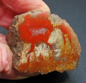 Polished Pseudomorph Fire Red Jasper * Agate * Carnelian * 2.6 oz. - Picture 1 of 7