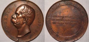 Grande medaglia Umberto I al merito ministero della Pubblica istruzione - Picture 1 of 1