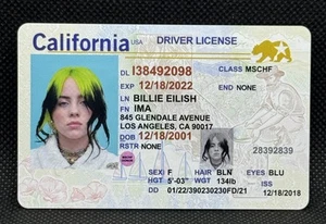 Patente di guida Billie Eilish California MSCHF confezioni potenziate - Foto 1 di 2