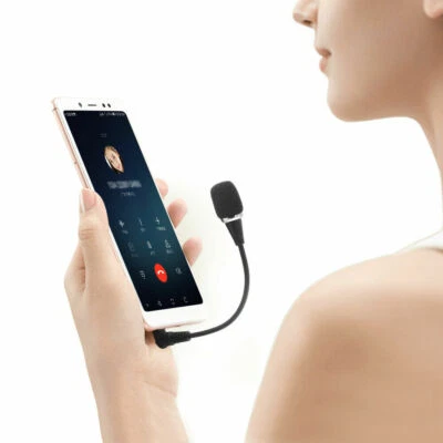 Microfono per Notebook spinotto Jack 3,5 mm Internet Skype VoIP vocale per PC - Immagine 1 di 4