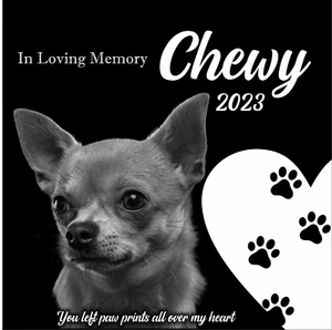 Pet Memorial Grave Marker Granite Plaque Human headstone dog 12x12 Chihuahua 01 - Picture 1 of 24