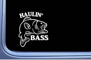 Großmaulbarsch Aufkleber Haulin Barsch OS 459 Vinyl 6" Decal Angelköder Köder - Bild 1 von 1