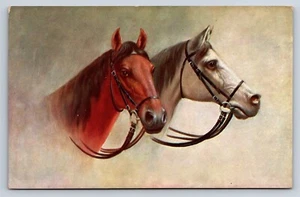 Postkarte Kunst Zwei Pferde Pferdekopf Portraits um 1910 AA29 - Bild 1 von 3